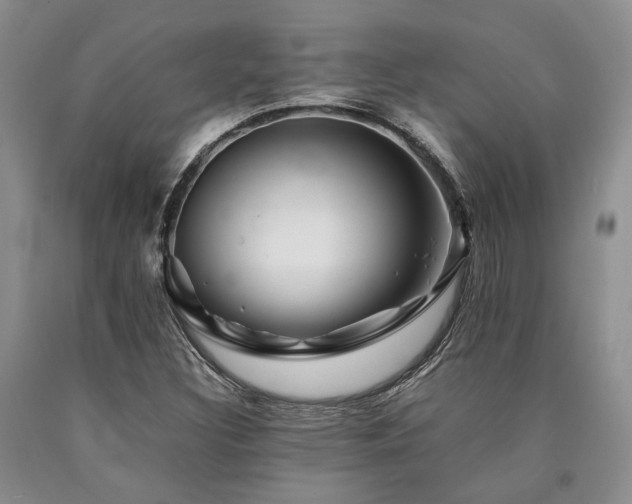 X0000090881308200707271303