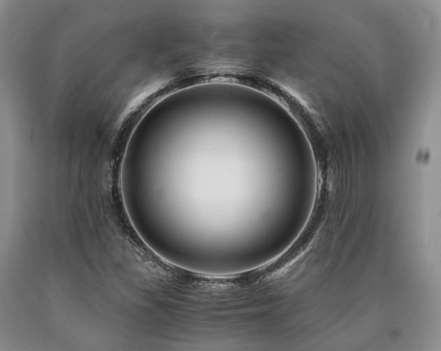 X0000090881309200707271303