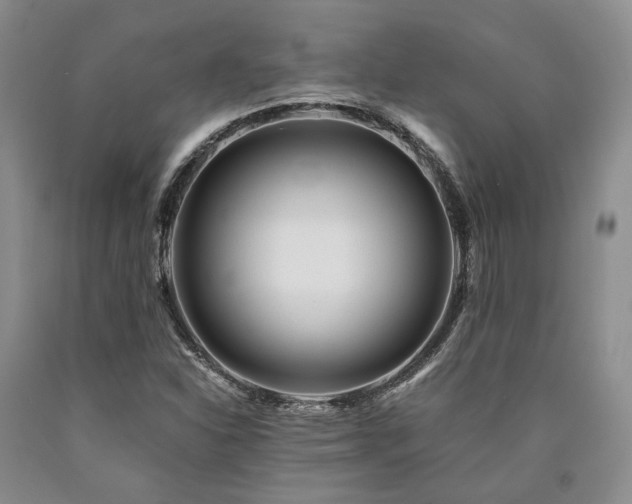 X0000090881310200707271303