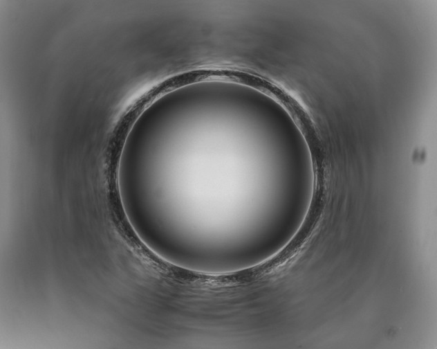 X0000090881311200707271303