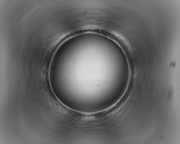 X0000090881313200707271303