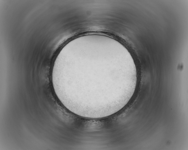 X0000090881314200707271303