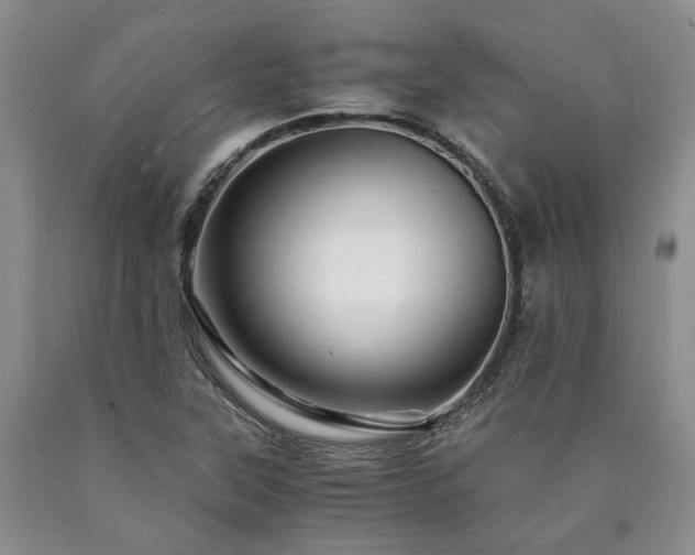 X0000090881315200707271303
