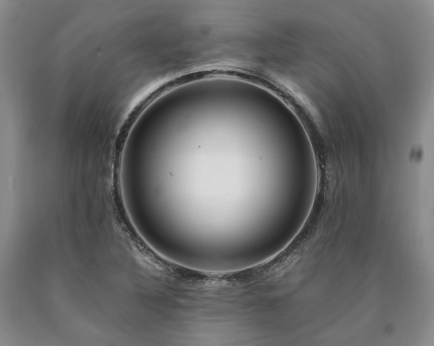 X0000090881316200707271303