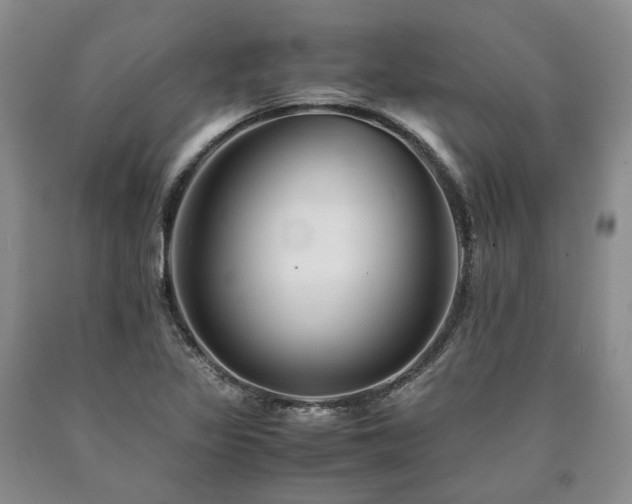 X0000090881317200707271303