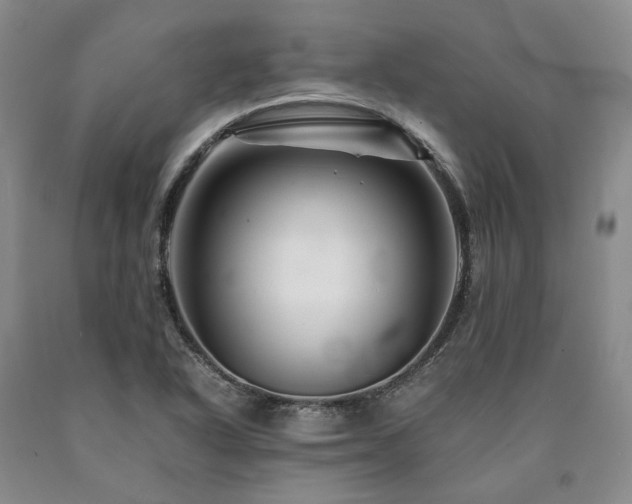 X0000090881318200707271303