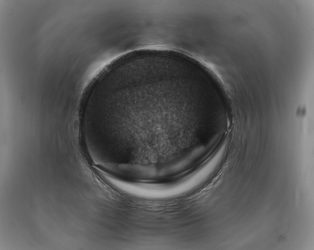 X0000090881319200707271303