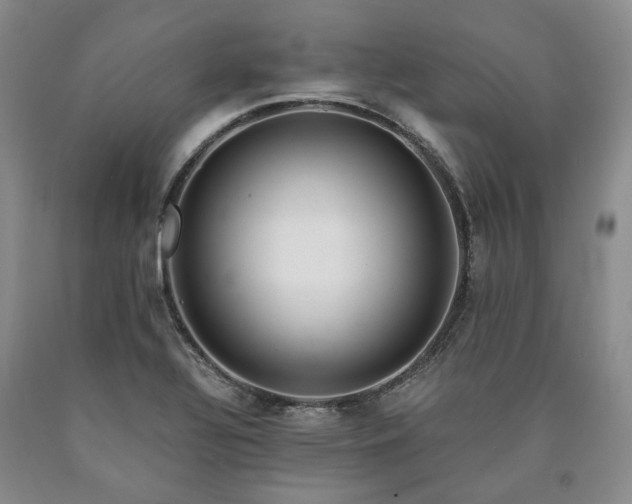 X0000090881320200707271303