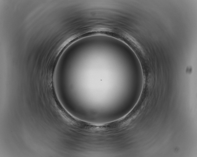 X0000090881321200707271303