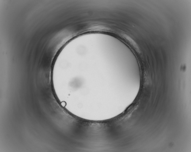X0000090881322200707271303