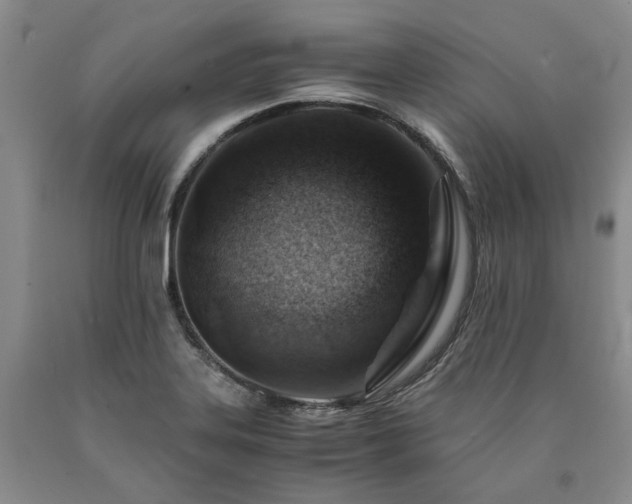 X0000090881323200707271303