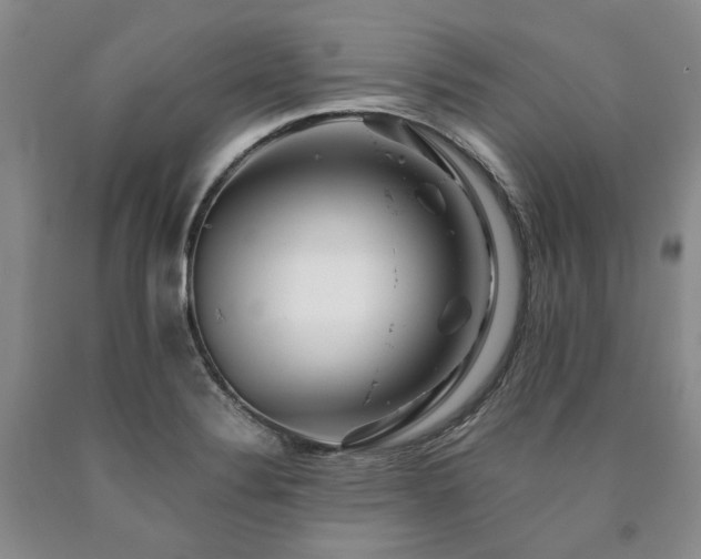 X0000090881324200707271303