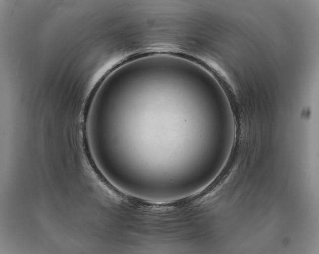 X0000090881325200707271303