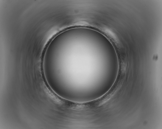 X0000090881326200707271303