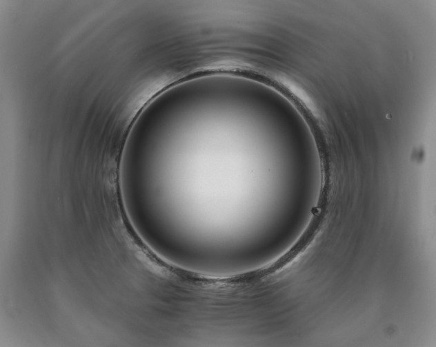 X0000090881329200707271303
