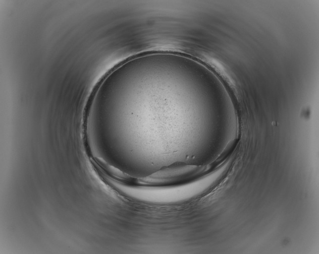 X0000090881331200707271303