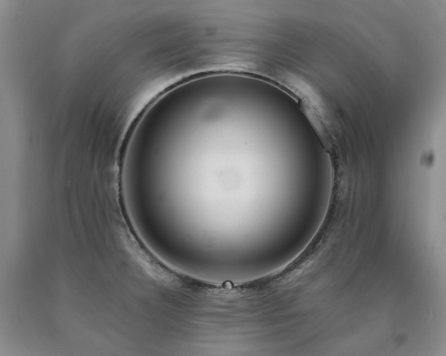 X0000090881332200707271303
