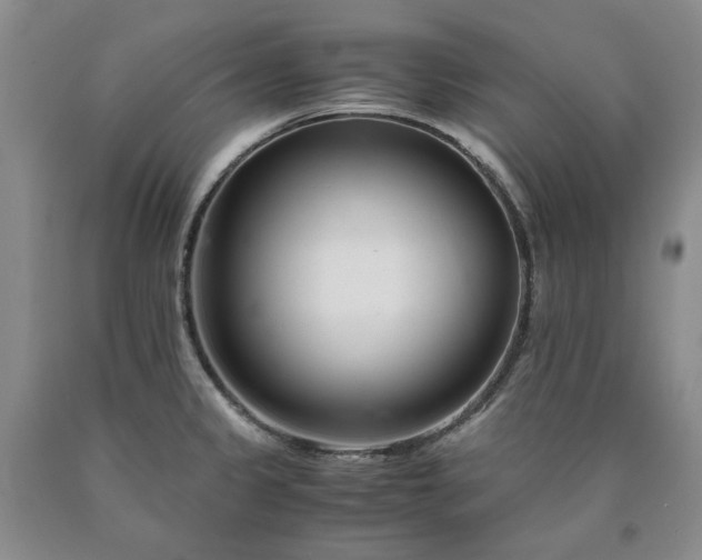 X0000090881333200707271303