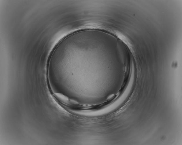 X0000090881334200707271303