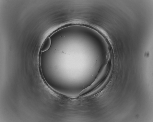X0000090881335200707271303