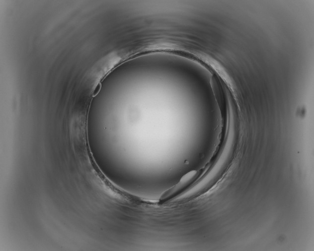 X0000090881337200707271303