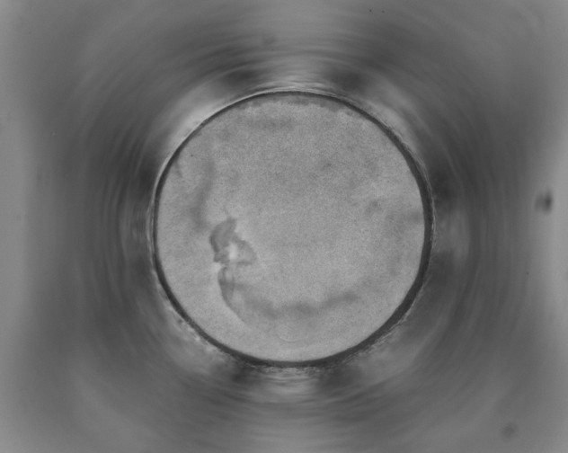 X0000090881338200707271303