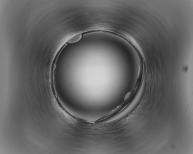 X0000090881339200707271303