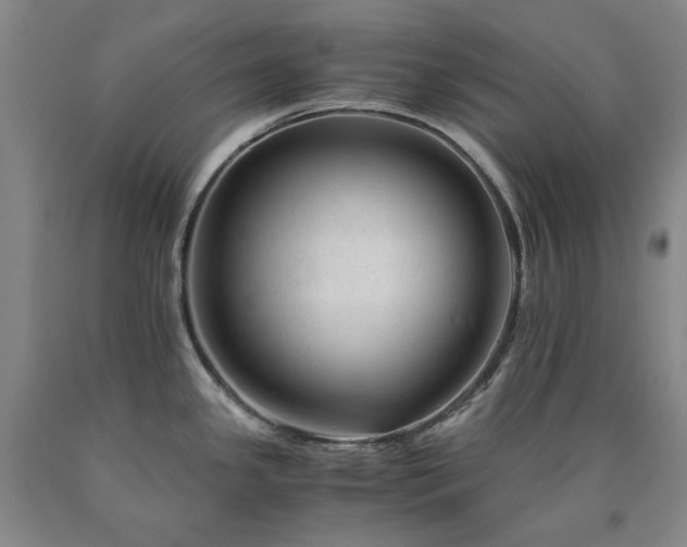 X0000090881341200707271304