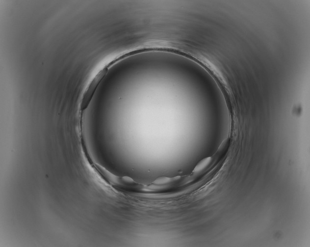 X0000090881342200707271304