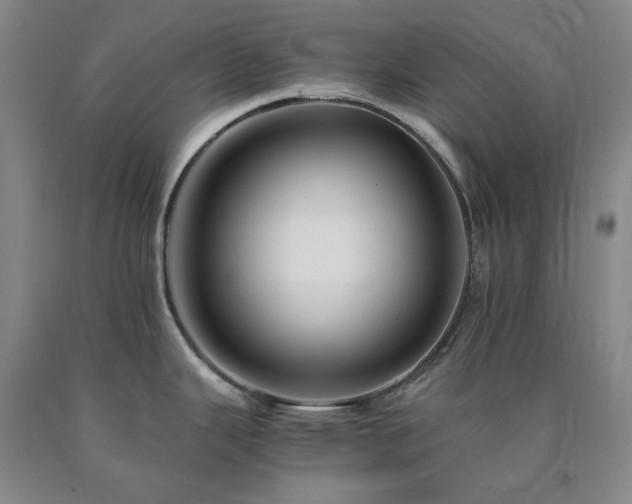 X0000090881343200707271304