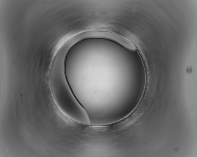 X0000090881344200707271304