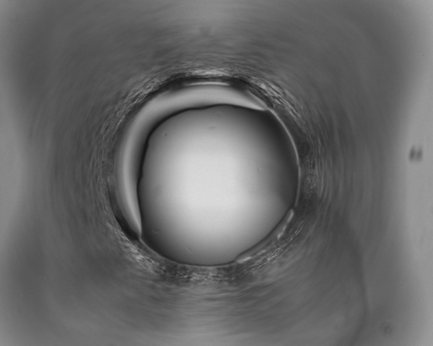 X0000090881345200707271303
