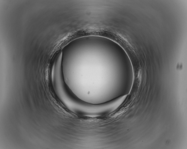 X0000090881348200707271303