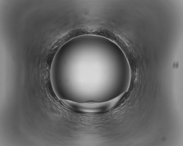 X0000090881349200707271303