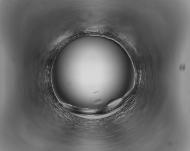 X0000090881350200707271303