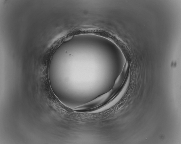 X0000090881351200707271303