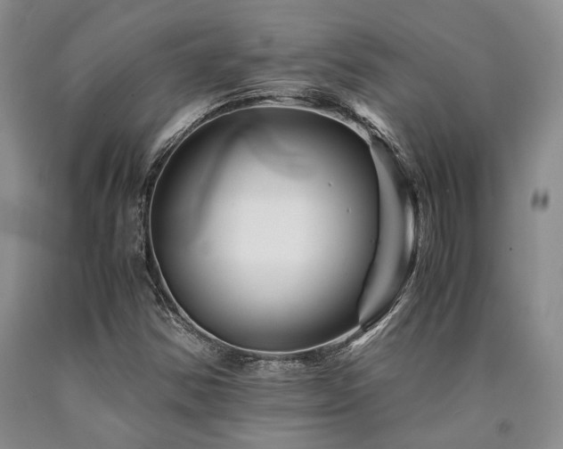 X0000090881354200707271303
