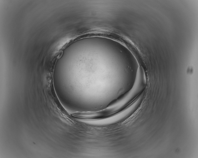 X0000090881355200707271303