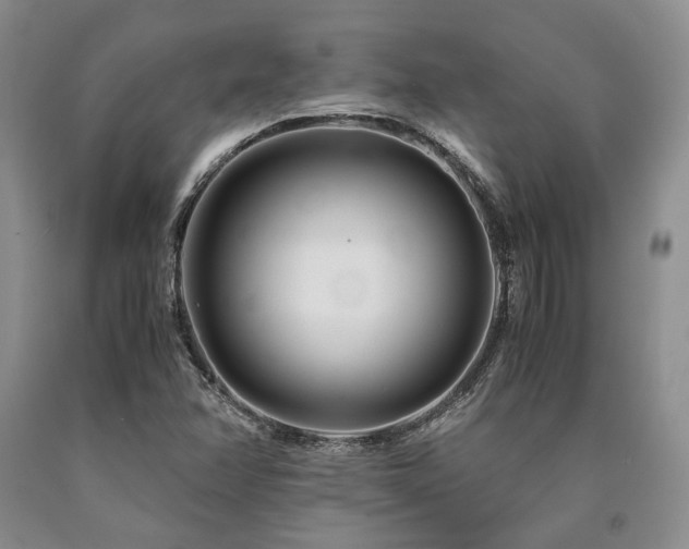 X0000090881358200707271303