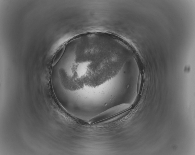 X0000090881359200707271303