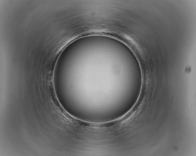 X0000090881361200707271303