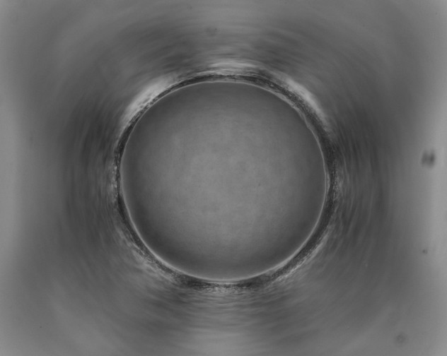 X0000090881362200707271303