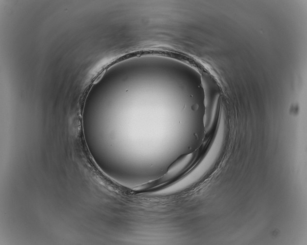 X0000090881363200707271303