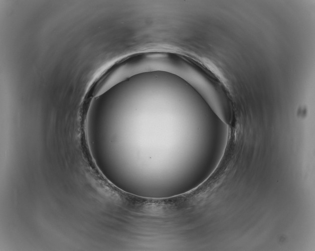 X0000090881364200707271303