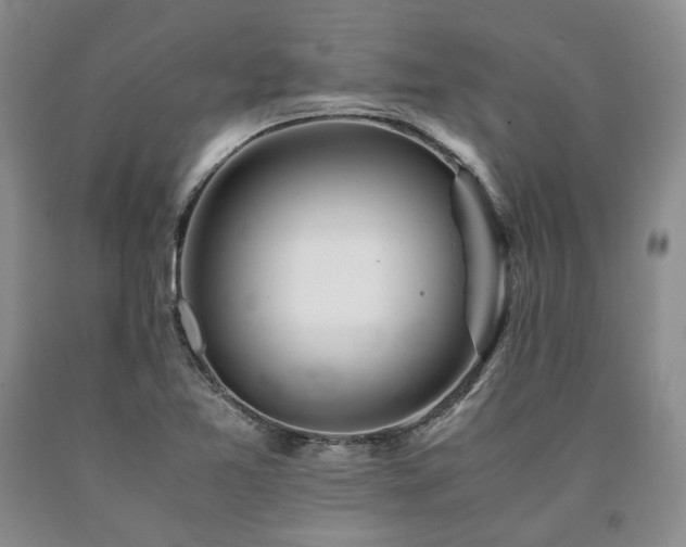 X0000090881365200707271303