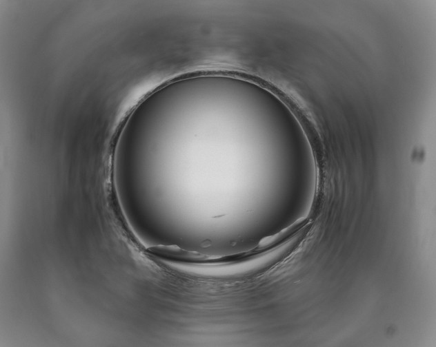 X0000090881366200707271303