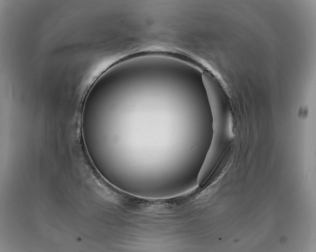 X0000090881367200707271303