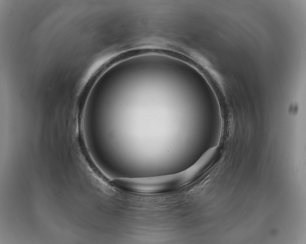 X0000090881368200707271302