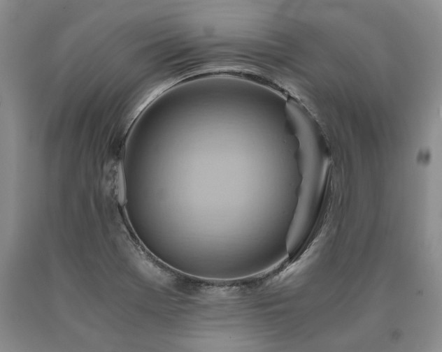 X0000090881369200707271302
