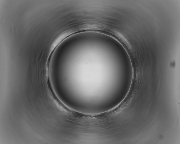 X0000090881370200707271302